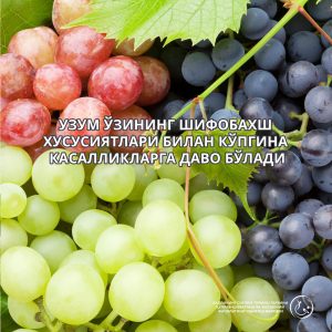 Read more about the article Узум ўзининг шифобахш хусусиятлари билан кўпгина касалликларга даво бўлади