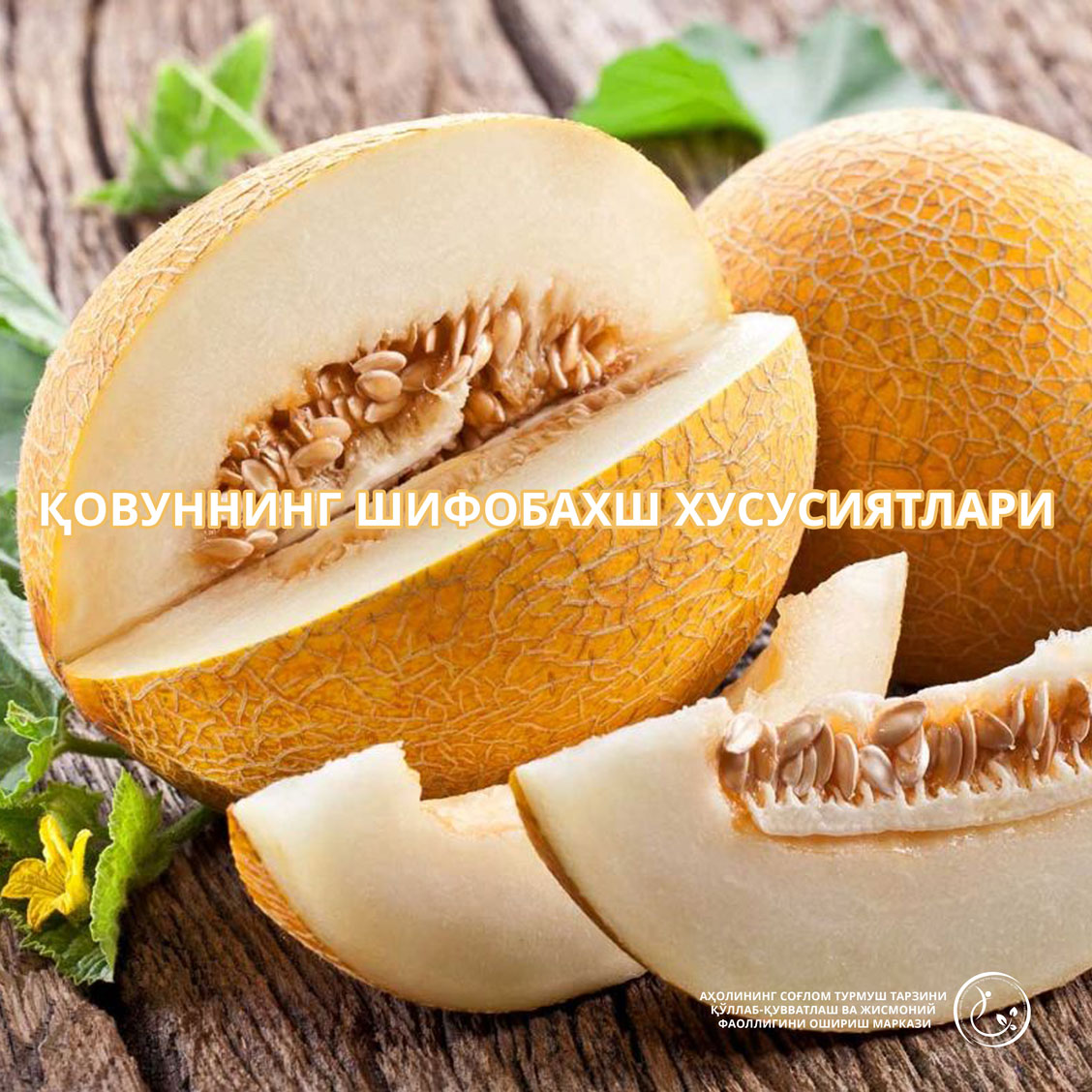 Read more about the article Қовуннинг шифобахш хусусиятлари