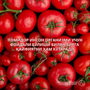 Read more about the article Помидор инсон организми учун фойдали бўлиши билан бирга қайфиятни ҳам кўтаради