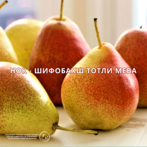 Read more about the article Нок – шифобахш тотли мева