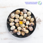 «Митти тухум»нинг шифобахш хусусиятлари